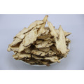 Herbal Medecine Chinses Angelica Seeds Angelica Keiskei